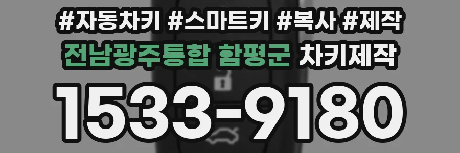 전남광주통합 함평군 차키제작