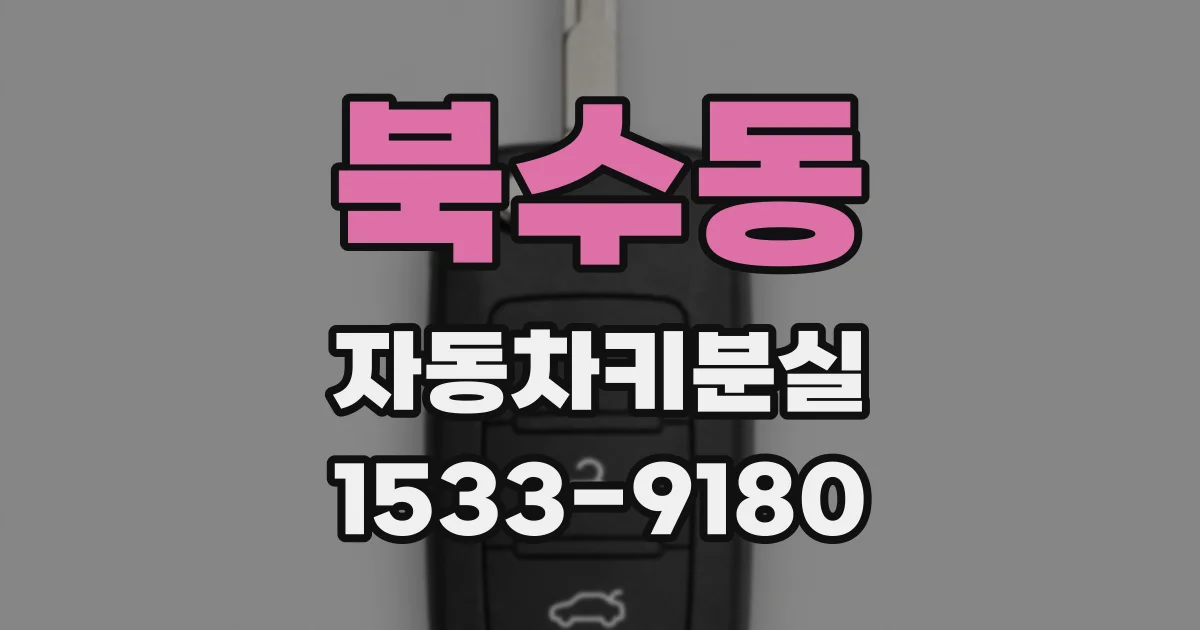 북수동 자동차키분실