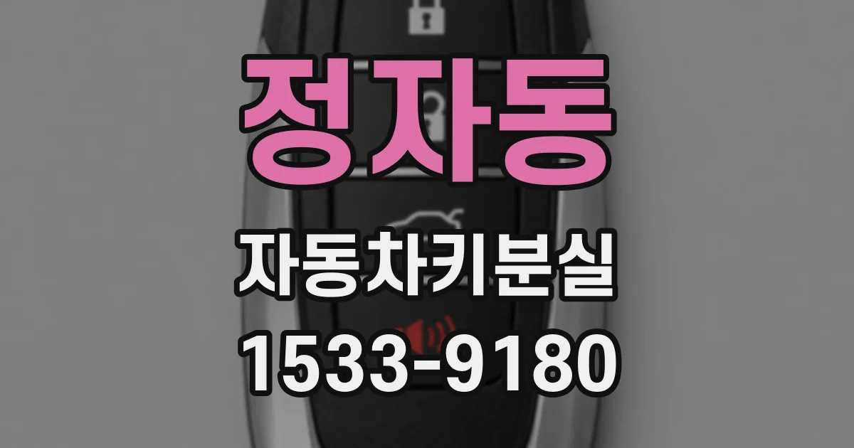 정자동 자동차키분실