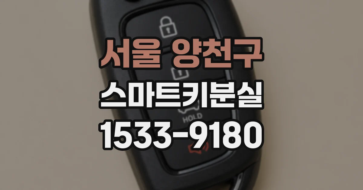 서울 양천구 스마트키분실