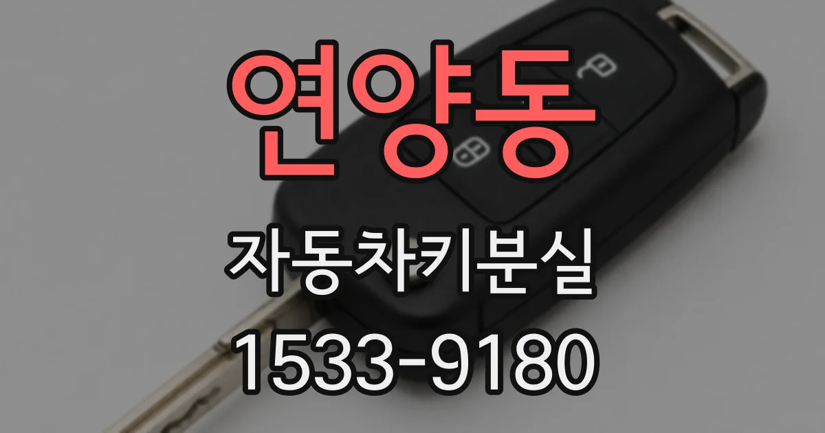 연양동 자동차키분실