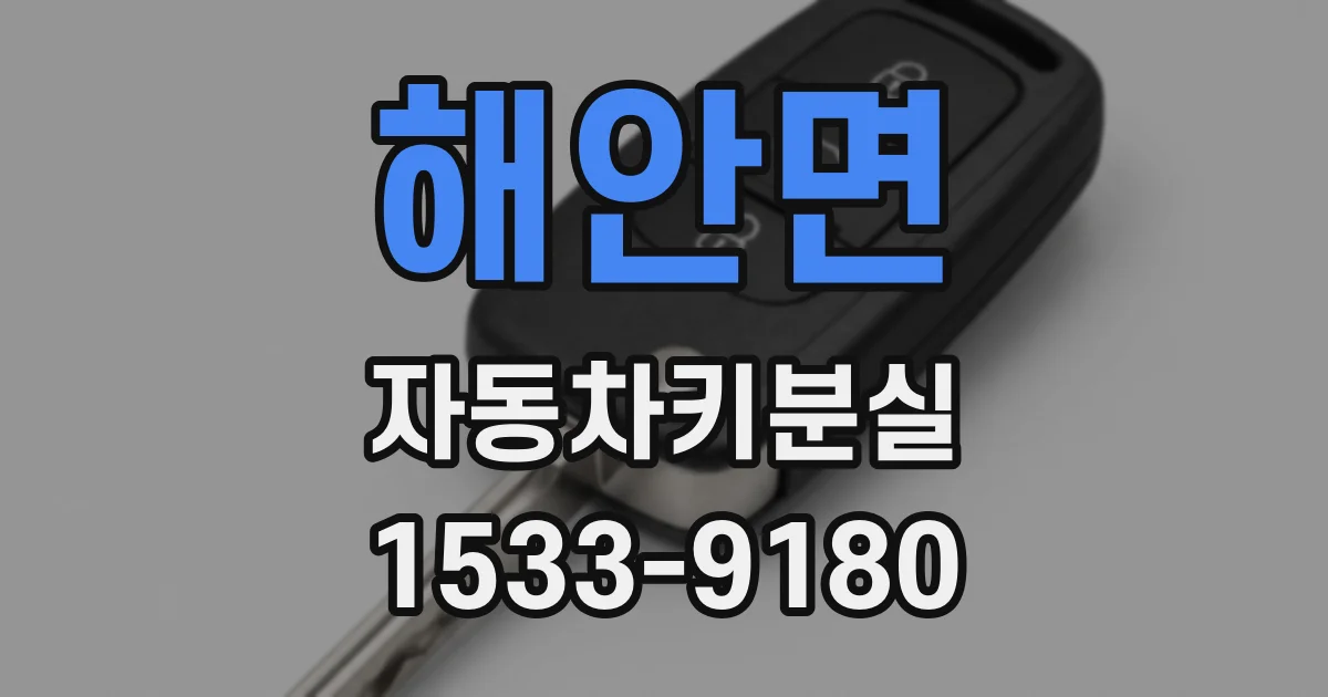 해안면 자동차키분실