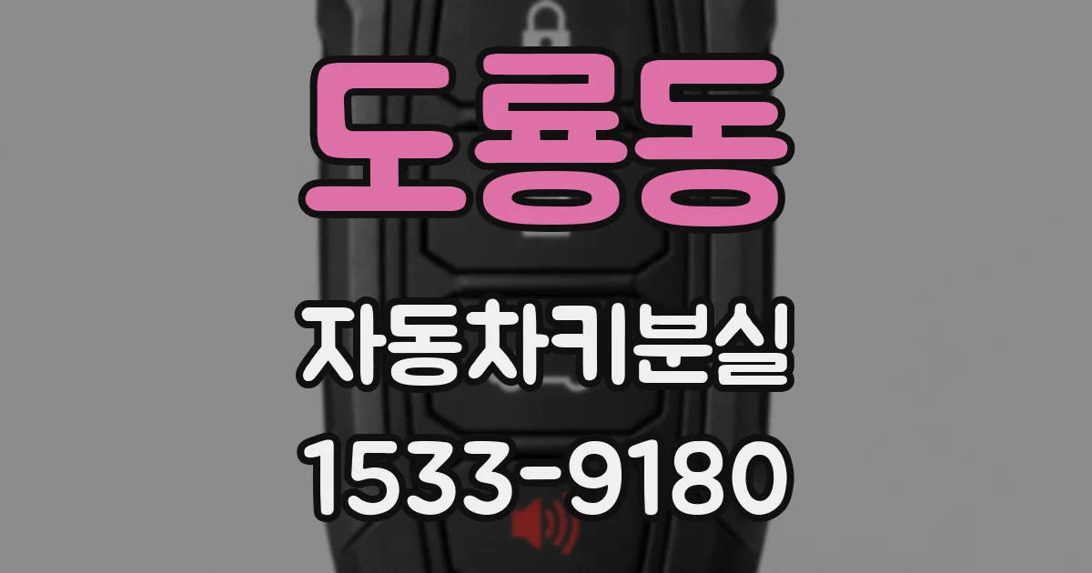 도룡동 자동차키분실
