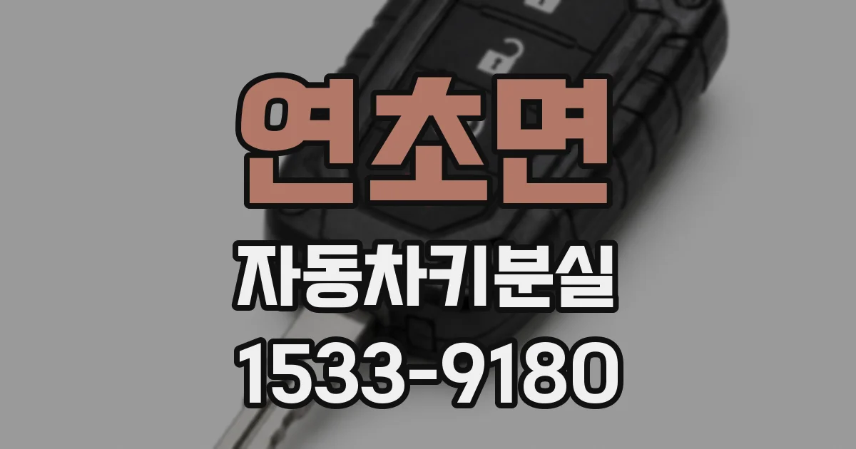 연초면 자동차키분실