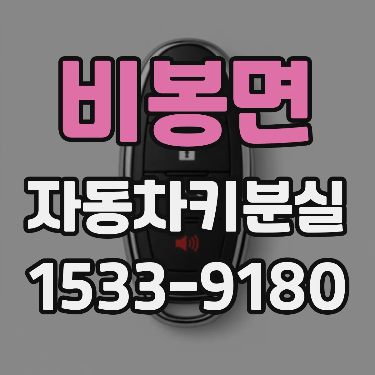 비봉면 자동차키분실