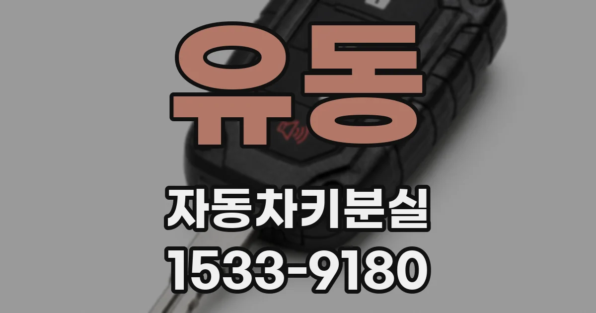 유동 자동차키분실