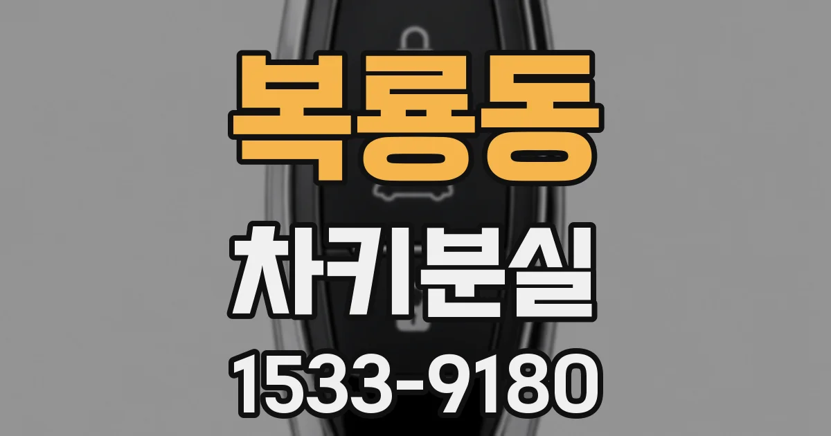 복룡동 차키분실