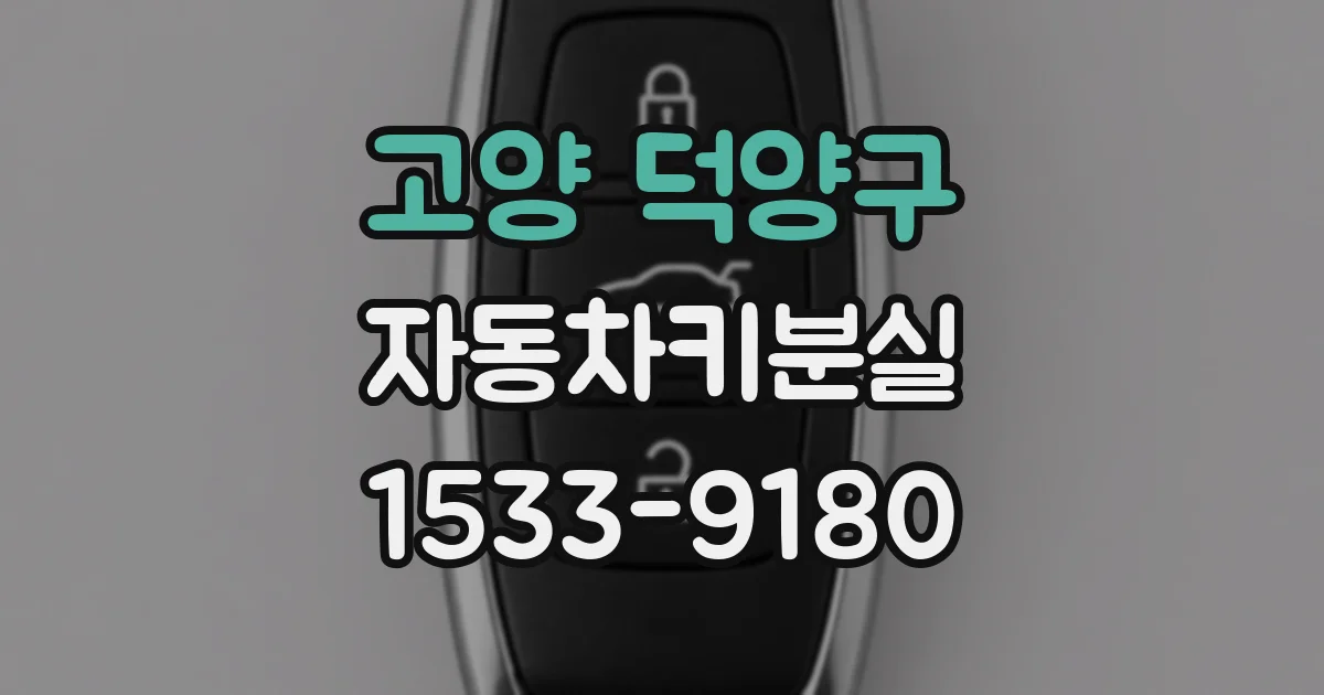 고양 덕양구 자동차키분실