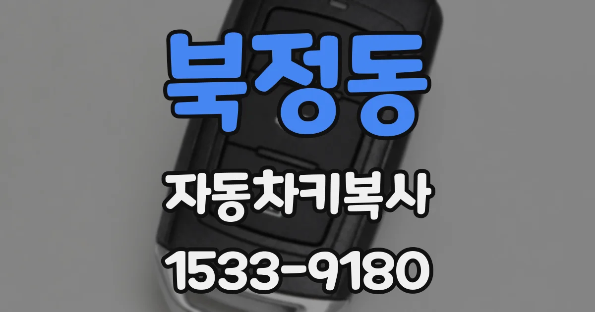 북정동 자동차키복사