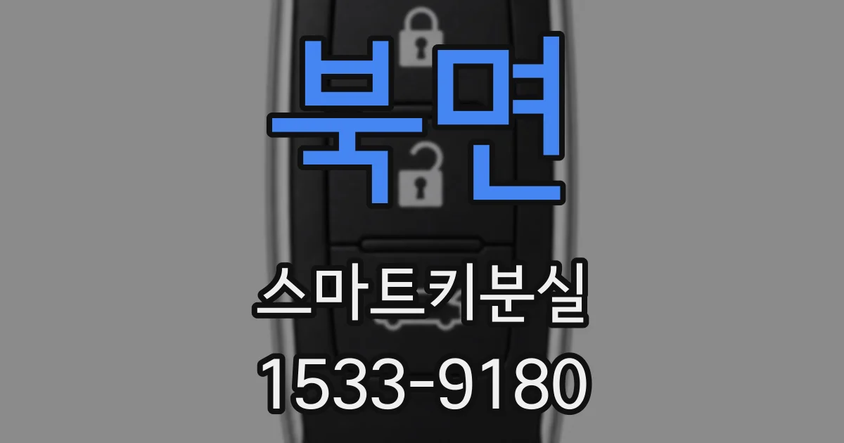 북면 스마트키분실
