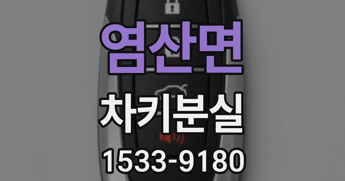 염산면 차키분실