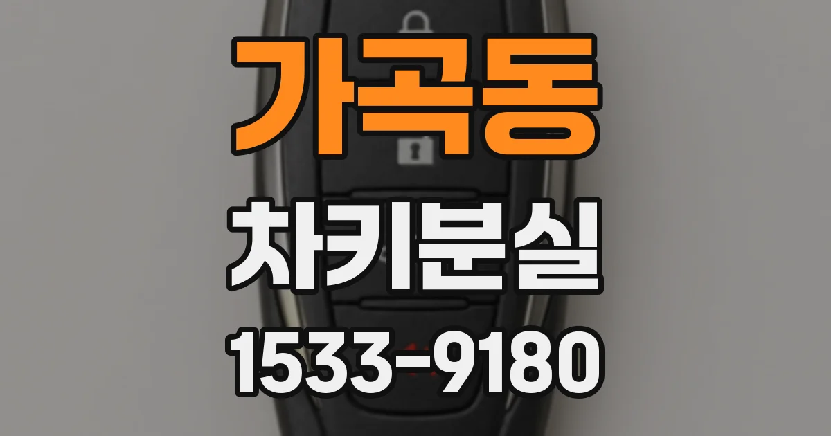 가곡동 차키분실