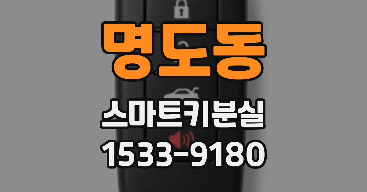 명도동 스마트키분실