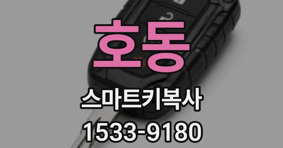 호동 스마트키복사