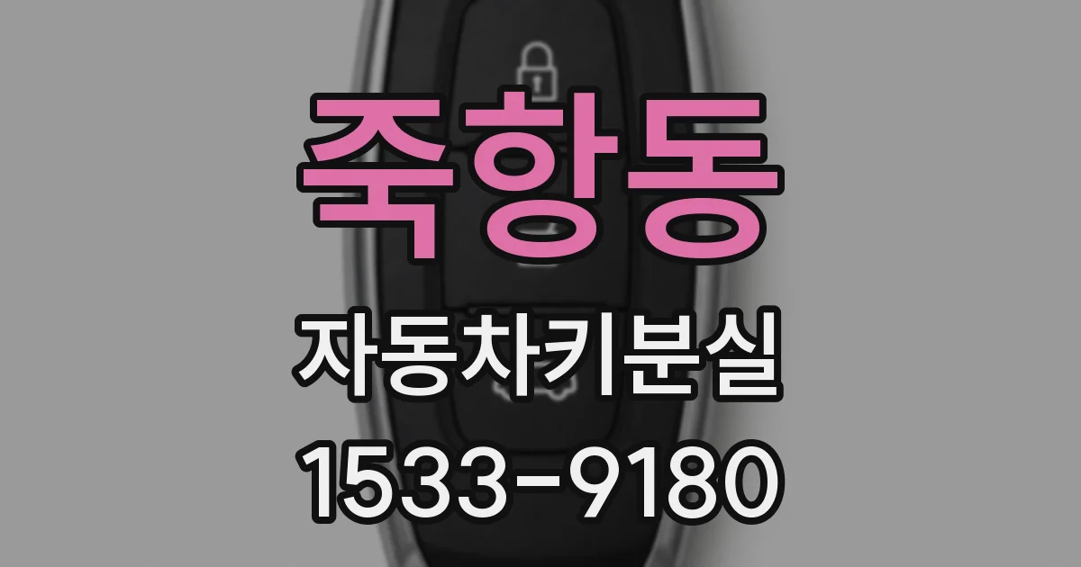 죽항동 자동차키분실