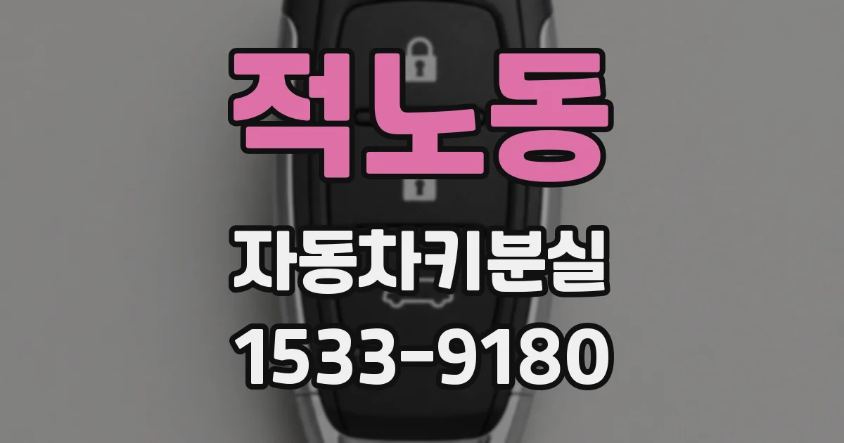 적노동 자동차키분실