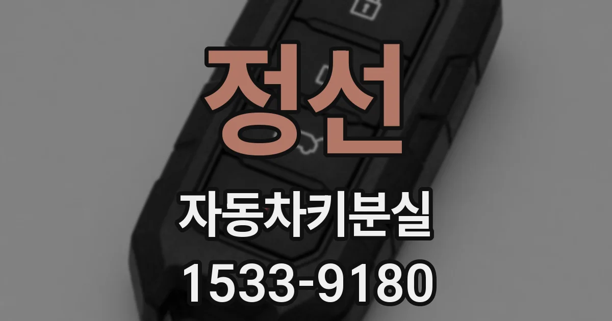 정선 자동차키분실