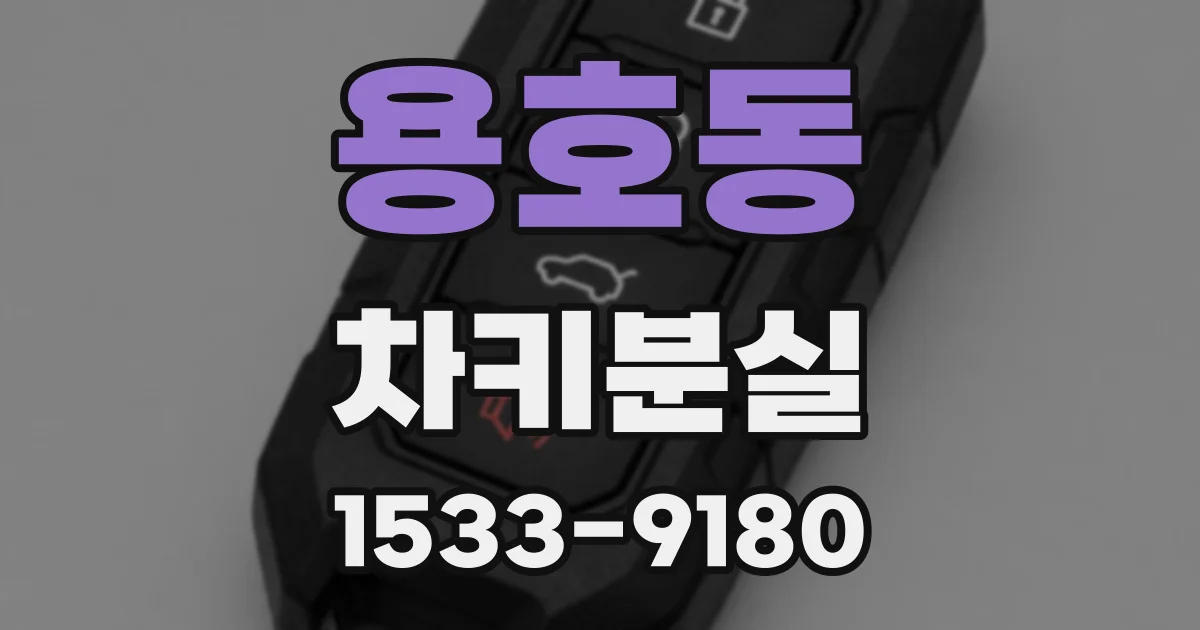 용호동 차키분실