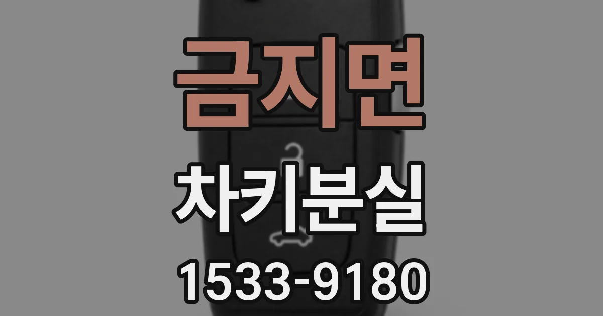 금지면 차키분실