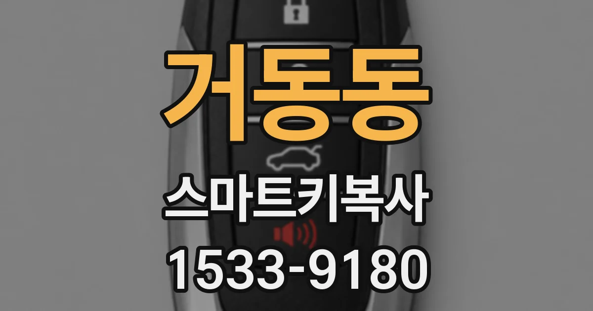 거동동 스마트키복사