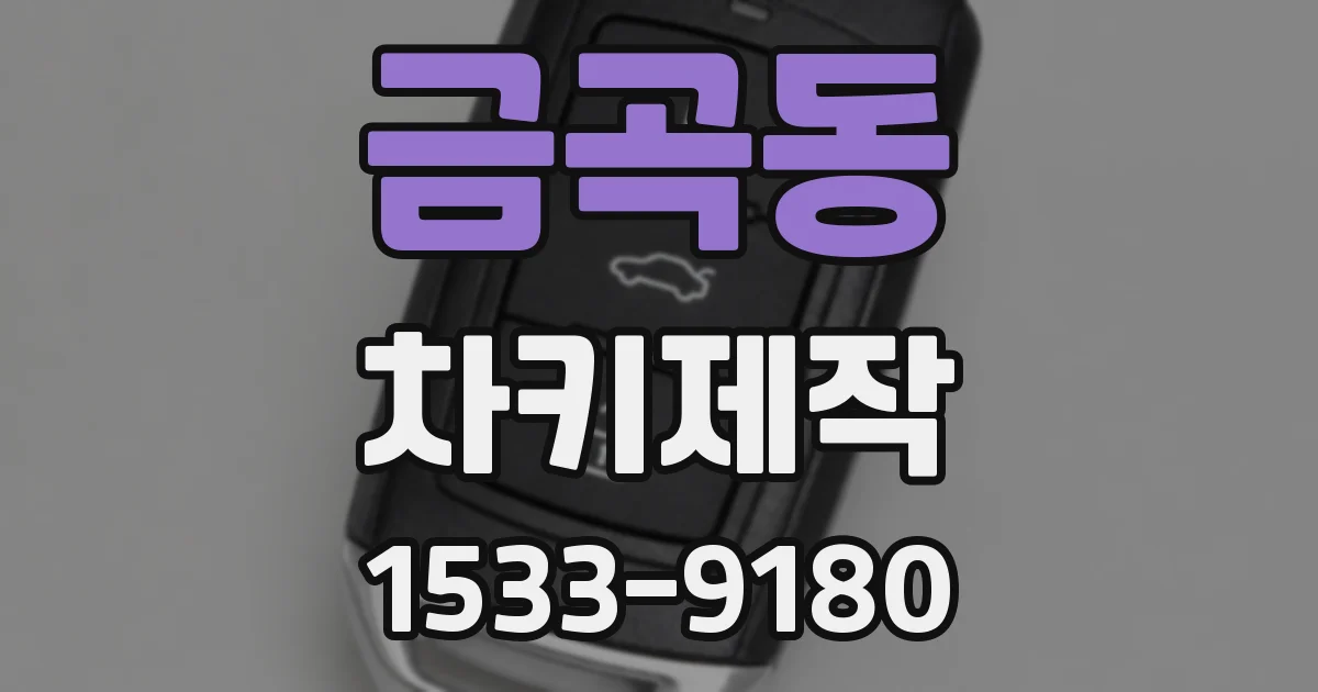 금곡동 차키제작