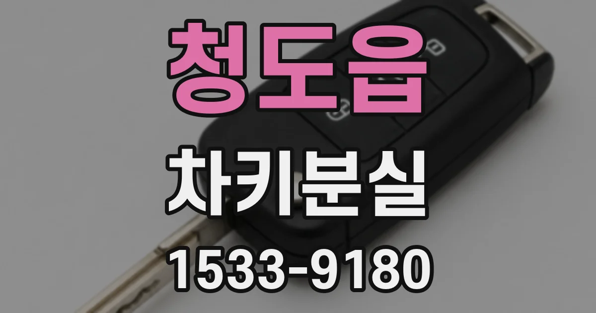 청도읍 차키분실