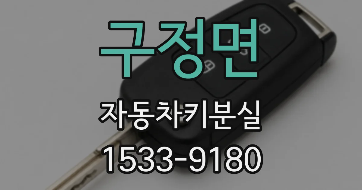 구정면 자동차키분실