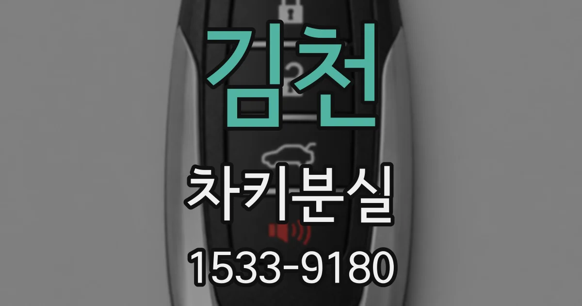 김천 차키분실