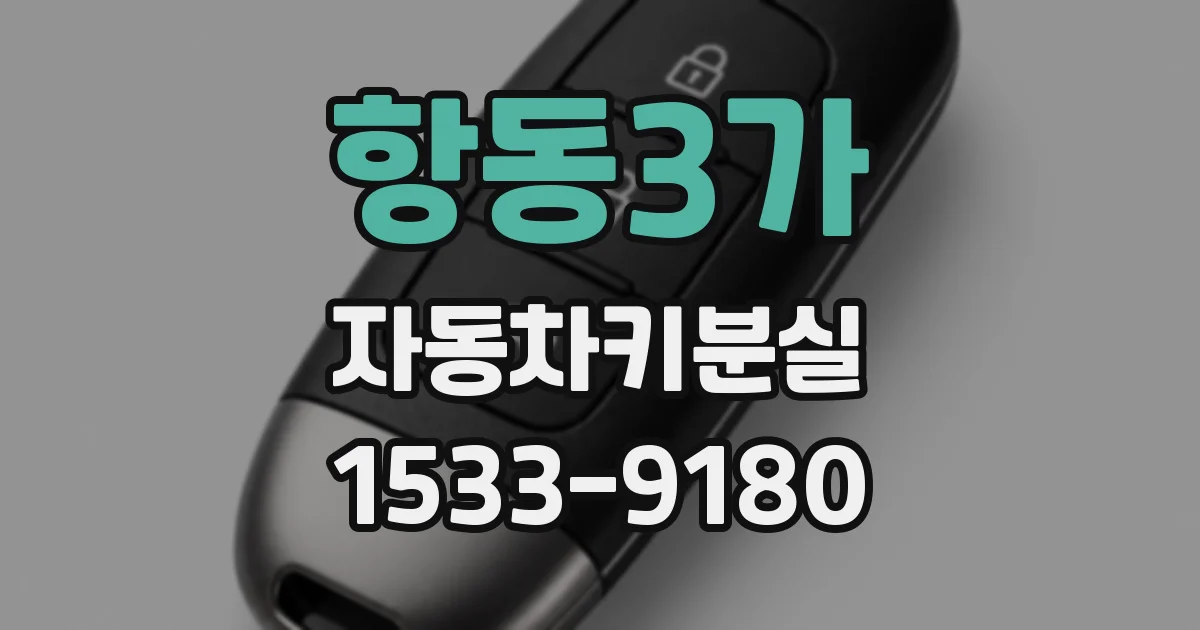 항동3가 자동차키분실