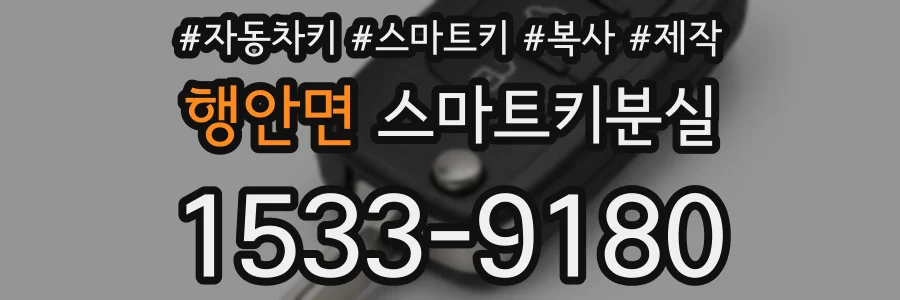 행안면 스마트키분실