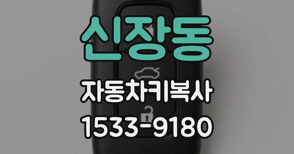 신장동 자동차키복사