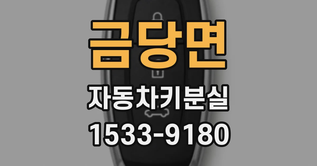 금당면 자동차키분실