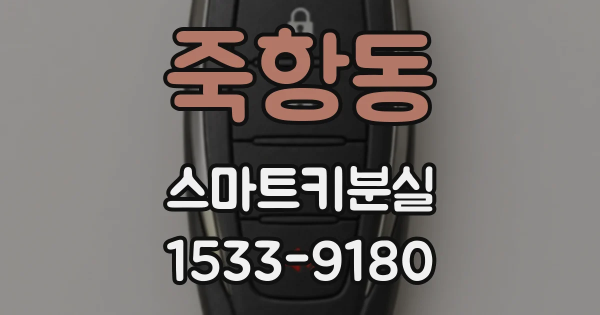 죽항동 스마트키분실