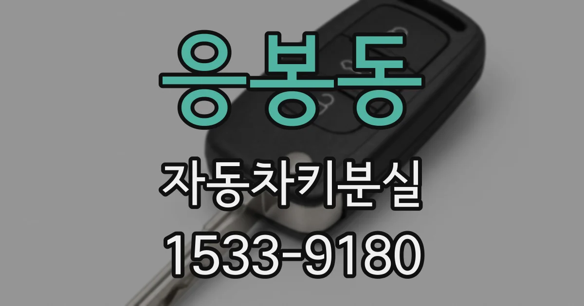 응봉동 자동차키분실
