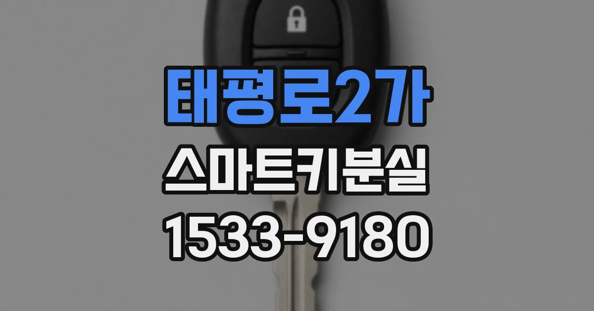 태평로2가 스마트키분실