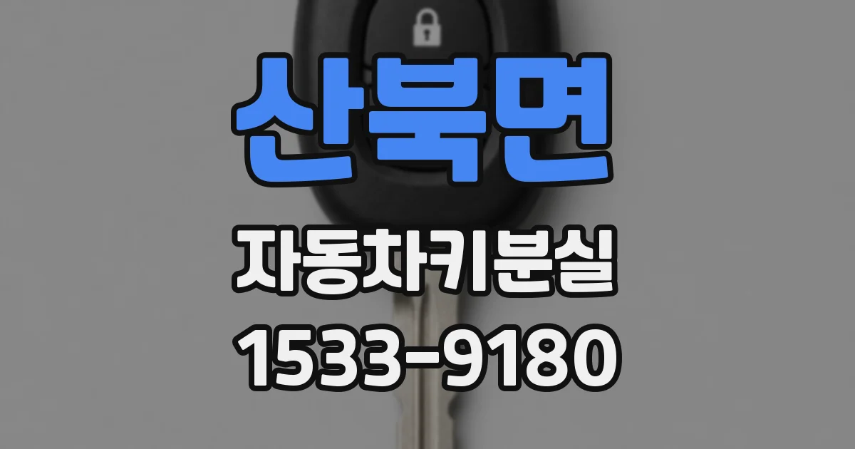 산북면 자동차키분실