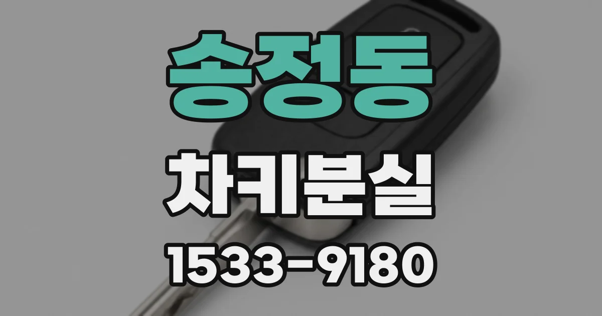 송정동 차키분실