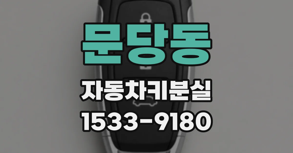 문당동 자동차키분실