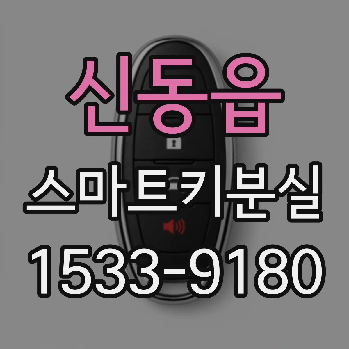 신동읍 스마트키분실
