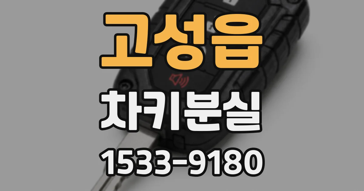 고성읍 차키분실