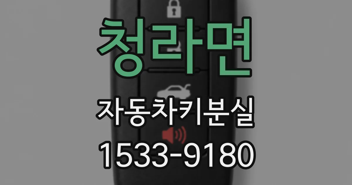 청라면 자동차키분실