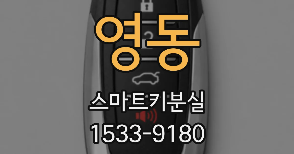영동 스마트키분실