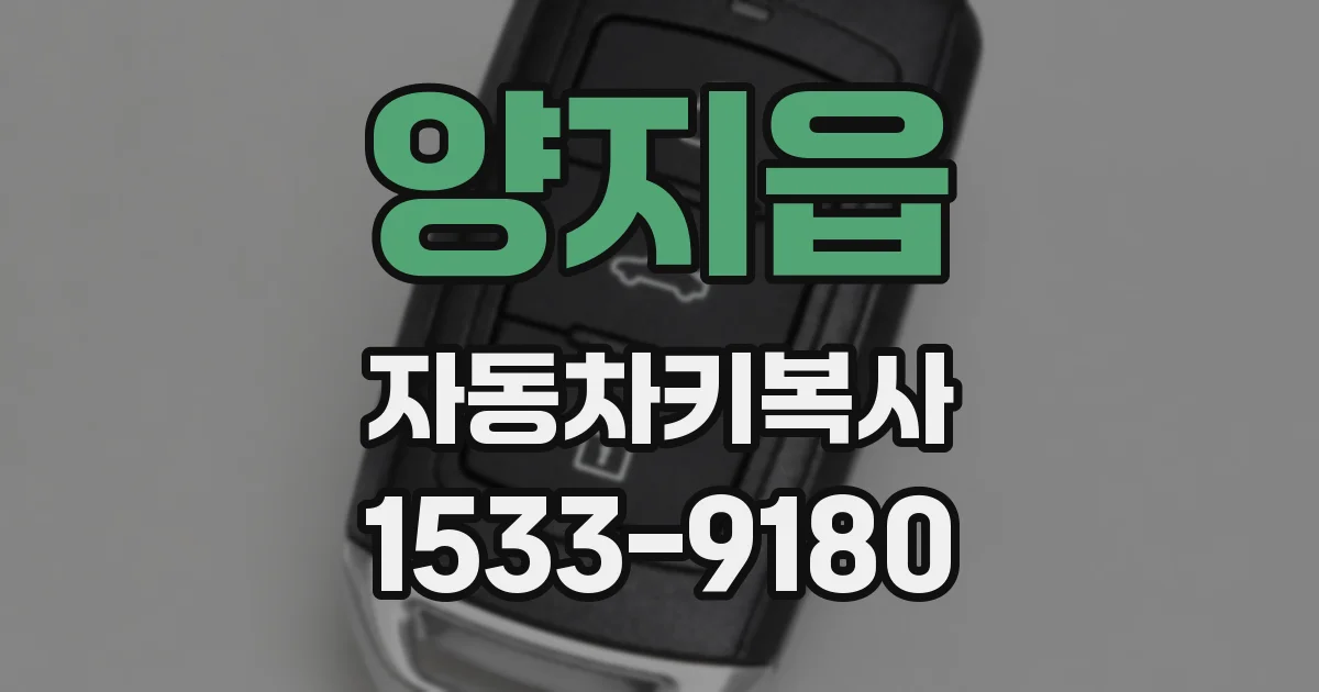 양지읍 자동차키복사