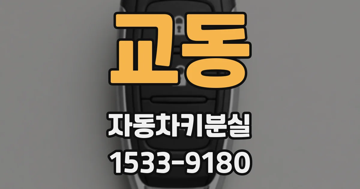 교동 자동차키분실