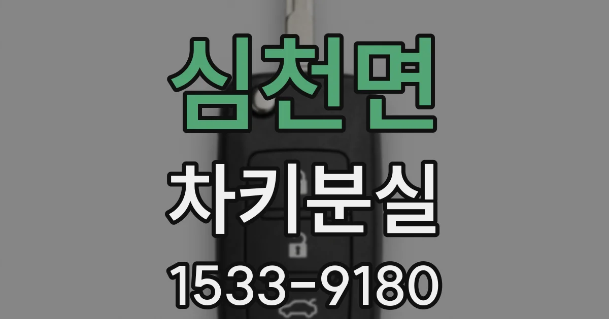심천면 차키분실