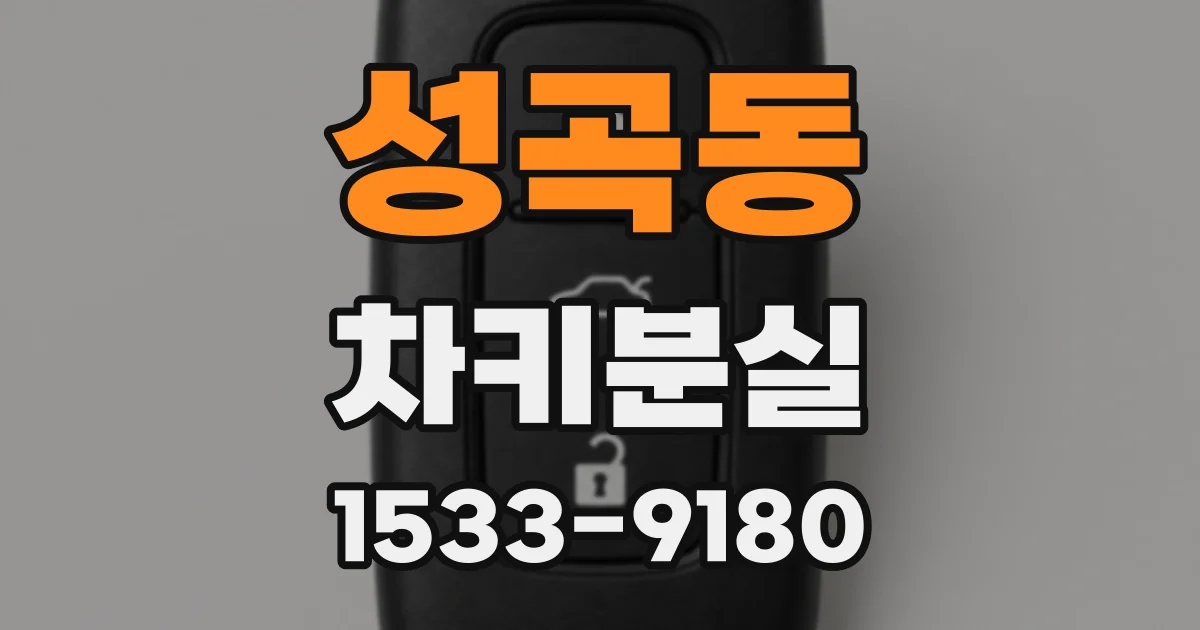 성곡동 차키분실