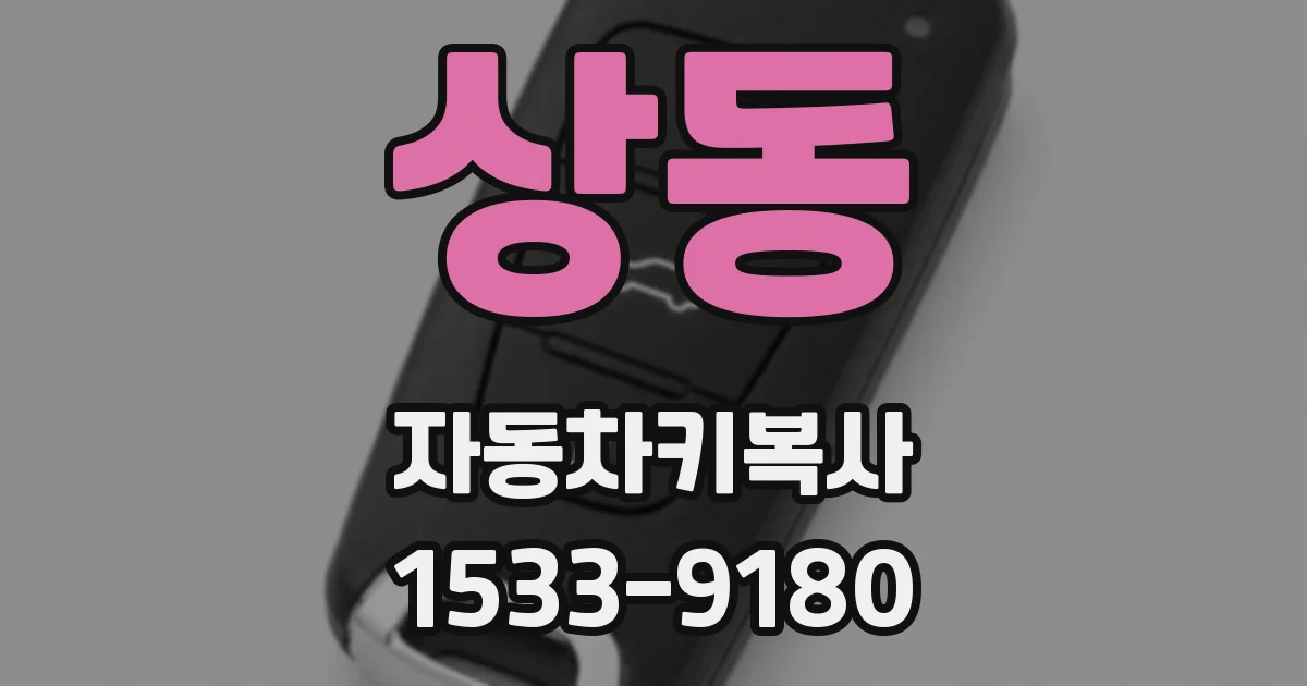 상동 자동차키복사