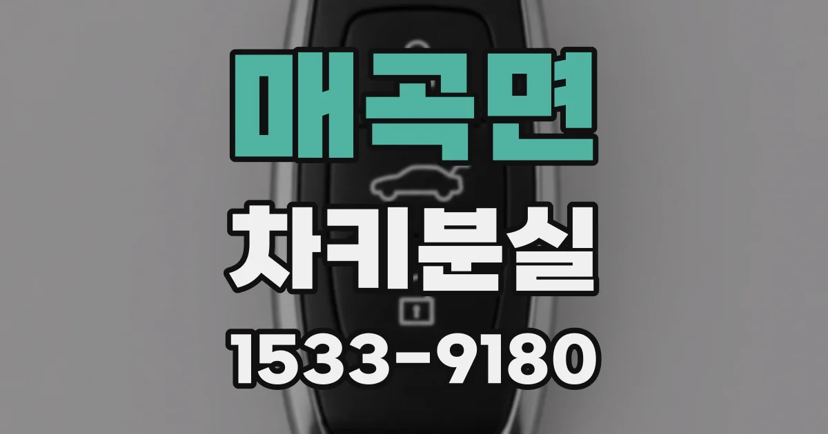 매곡면 차키분실