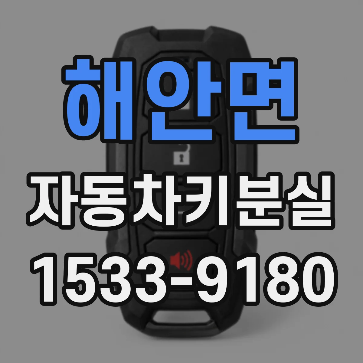 해안면 자동차키분실