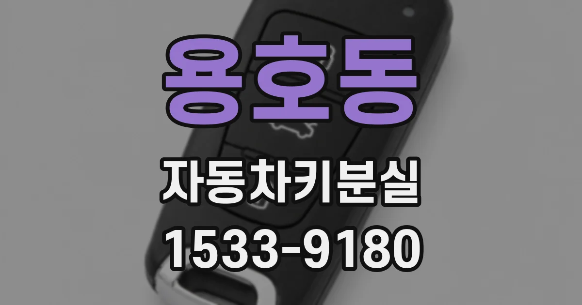 용호동 자동차키분실